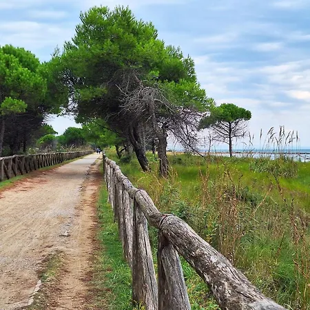 Lovely Flat With Garden In A - Beahost Διαμέρισμα Μπιμπιόνε