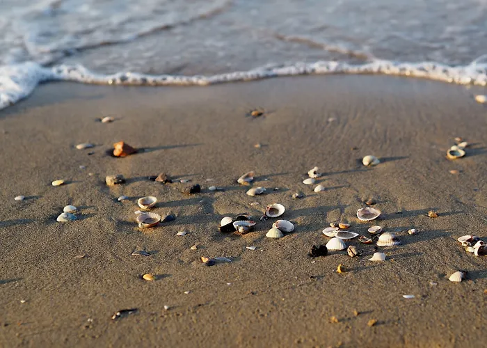 아파트 Lovely Flat With Garden In A Residence-beahost